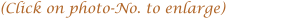 (Click on photo-No. to enlarge)