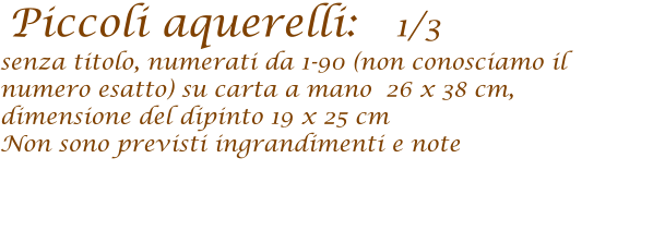 Piccoli aquerelli:   1/3 senza titolo, numerati da 1-90 (non conosciamo il numero esatto) su carta a mano  26 x 38 cm,   dimensione del dipinto 19 x 25 cm  Non sono previsti ingrandimenti e note